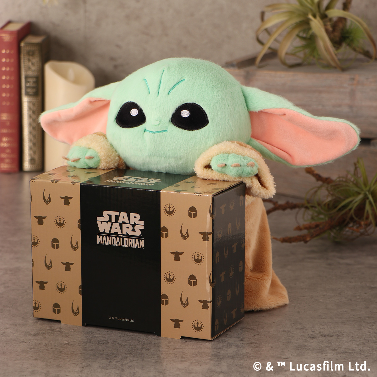 STAR WARS GROGU ふんばるず