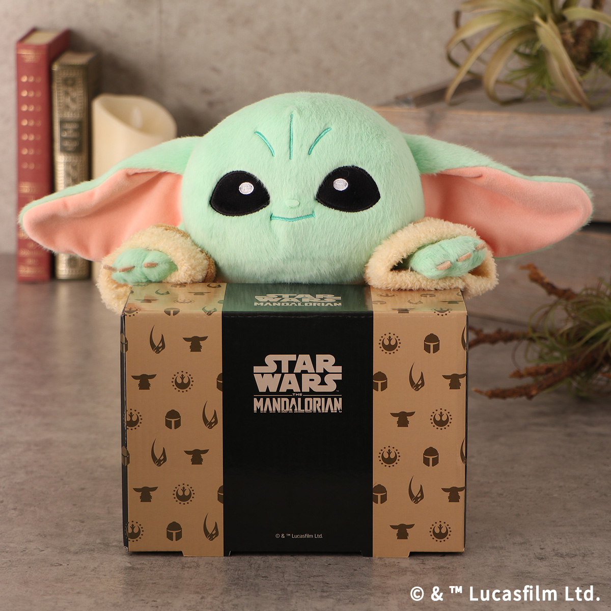 STAR WARS GROGU ふんばるず