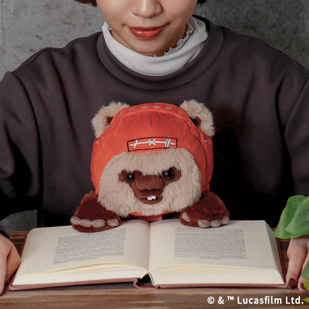 STAR WARS EWOK ふんばるず