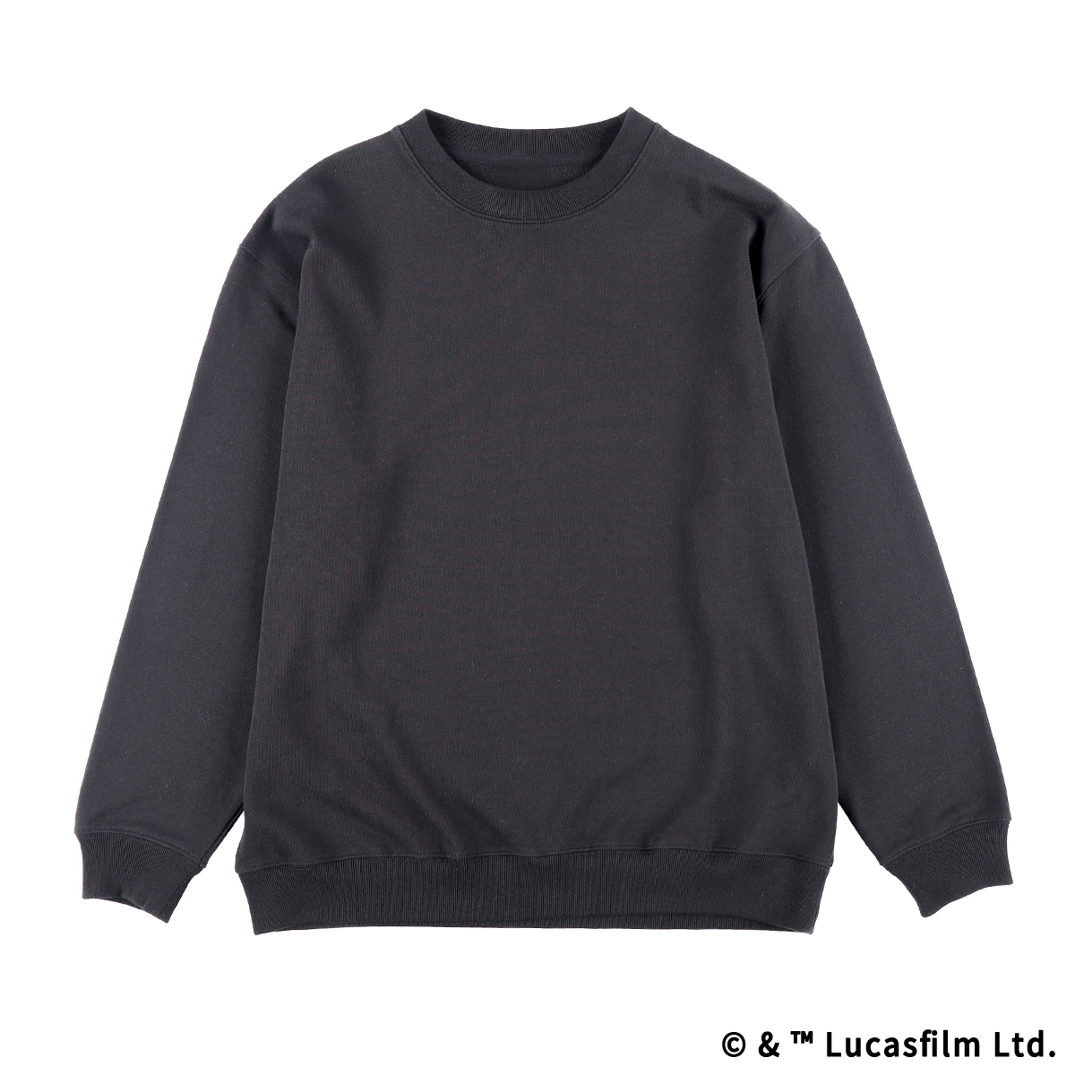 STAR WARS POWER THE FORCE スウェット Vader