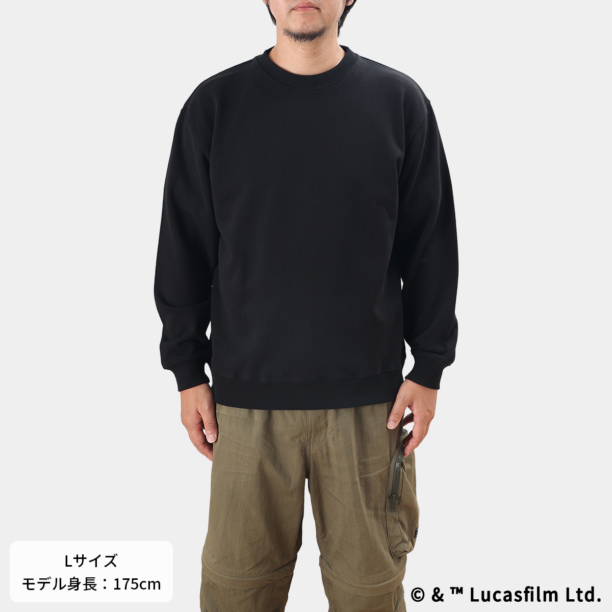 STAR WARS POWER THE FORCE スウェット Vader